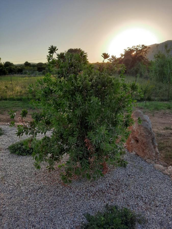 Villa Impetrata Iun Q7090 Orosei Exteriör bild